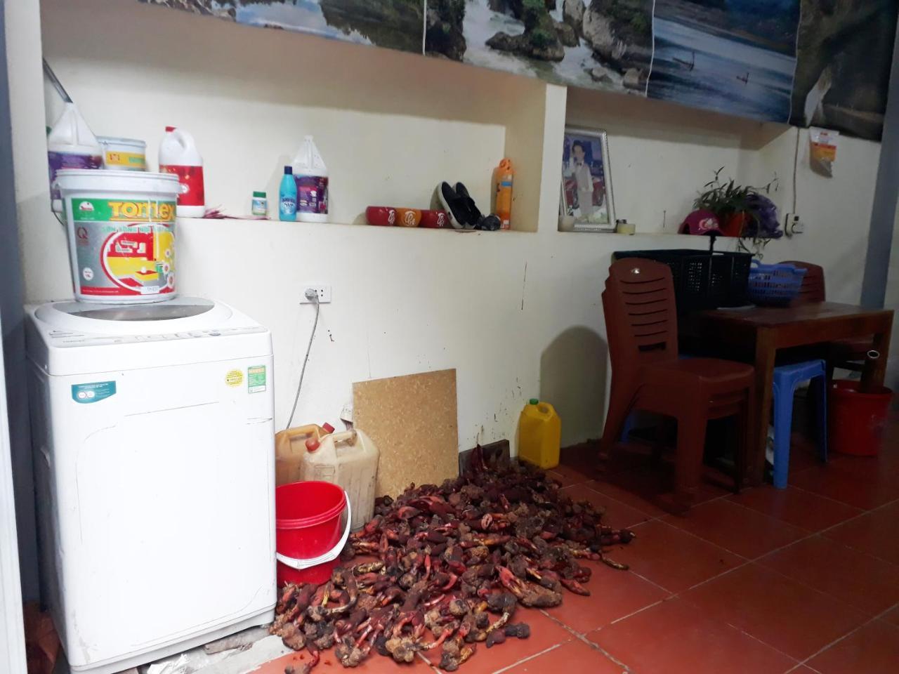 Nha Nghi Son Lam - Panorama Lake View Apartment An Ma ภายนอก รูปภาพ